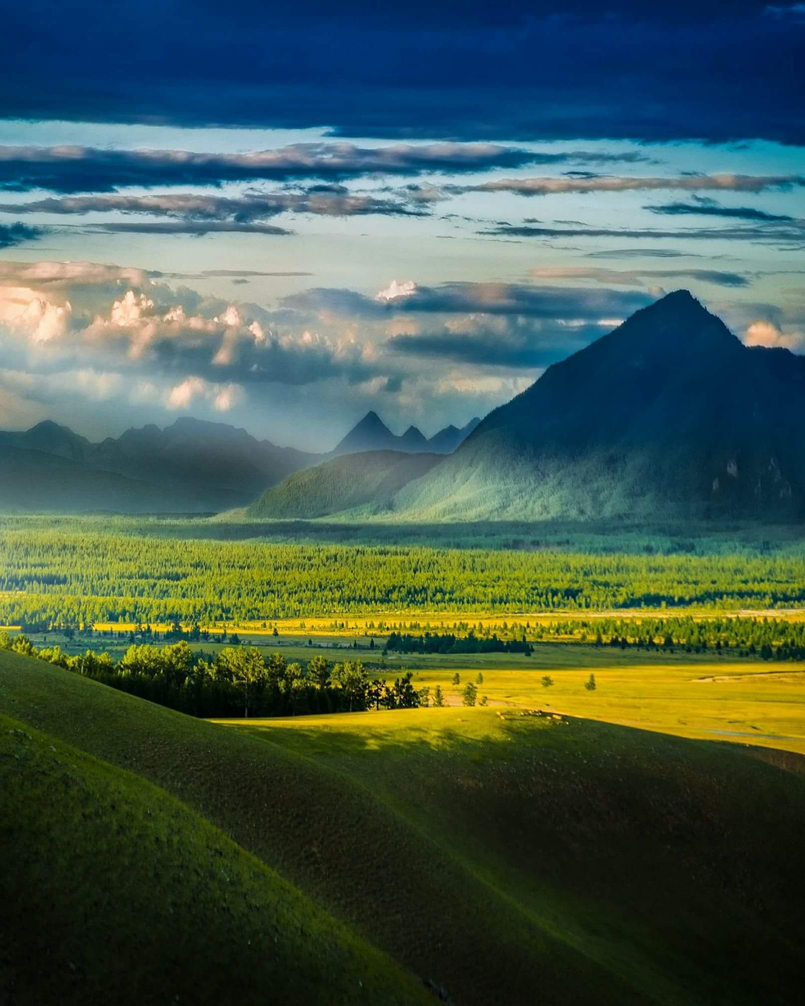 gallery-img