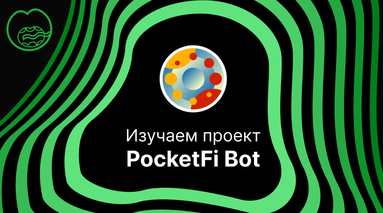 Pocketfi bot