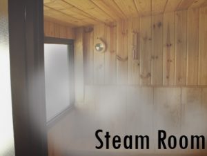 14 Health Benefits Of Steam Sauna No 1 Amazing Dr Heben