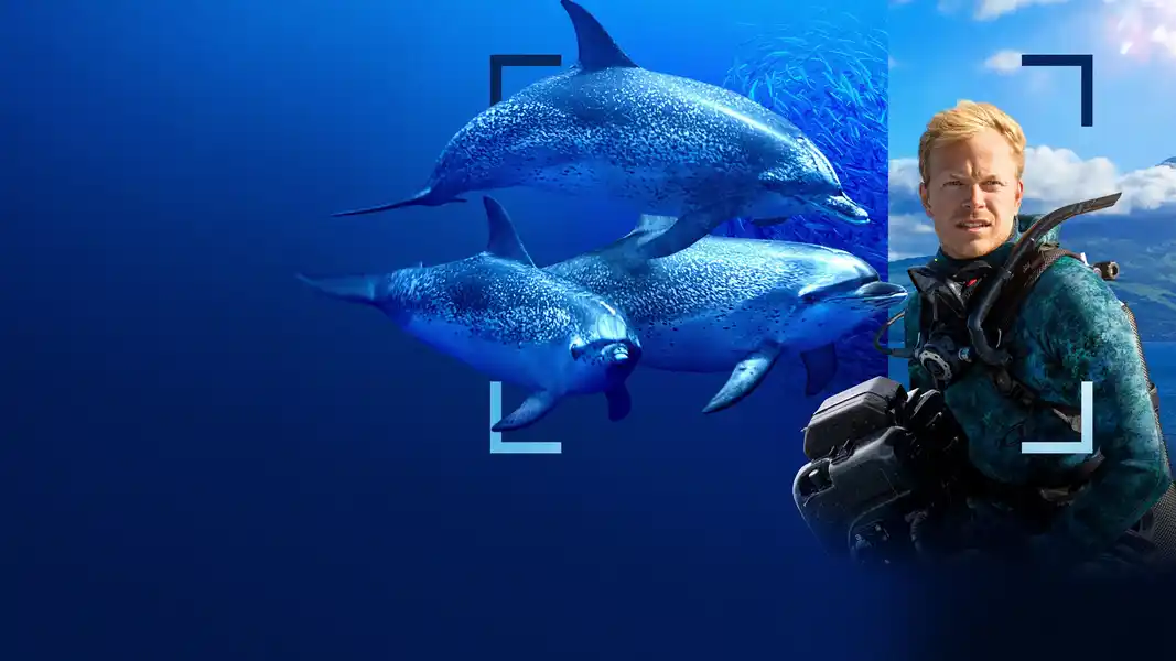 Dolphins Up Close with Bertie Gregory