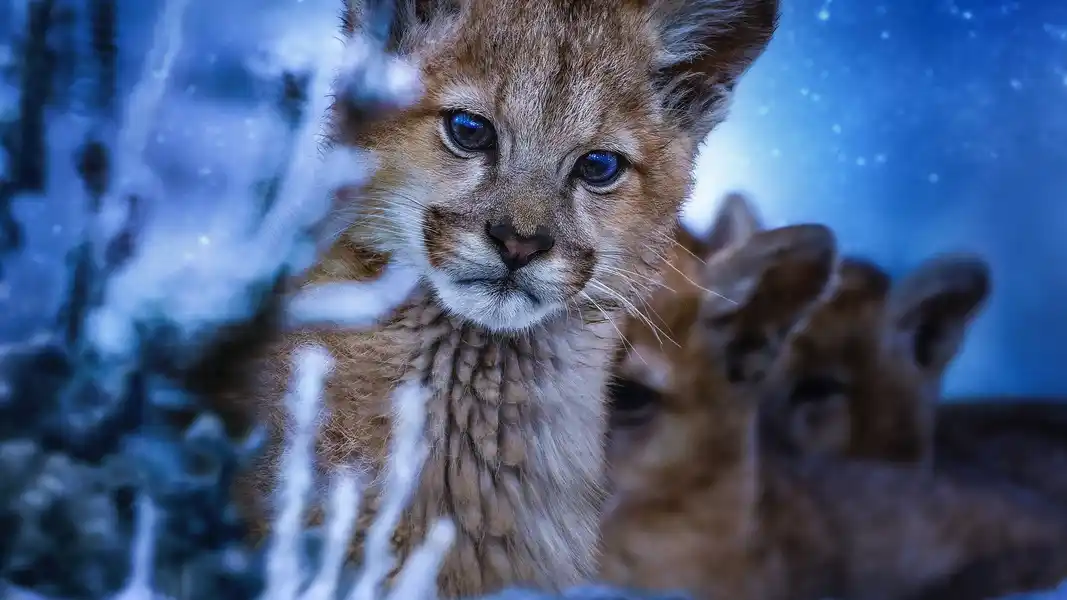 Earth at Night in Colour