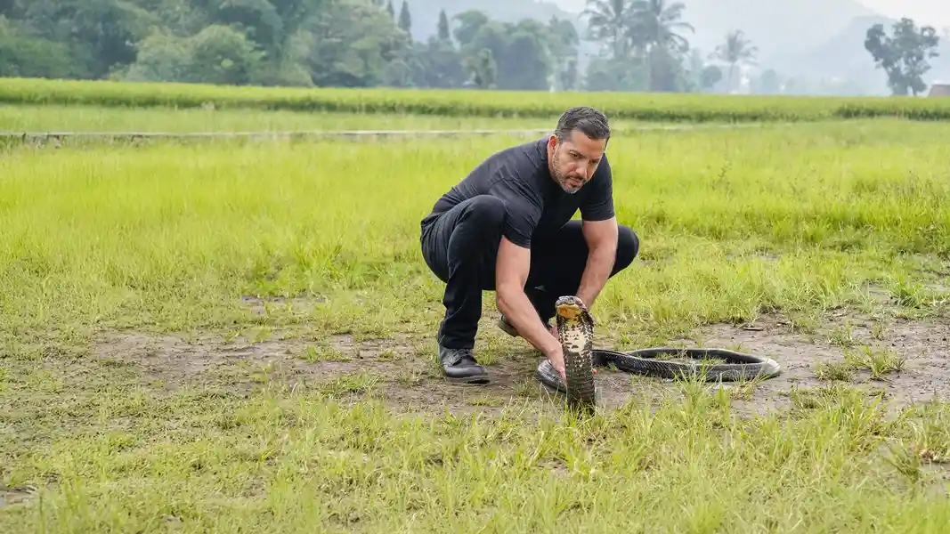 David Blaine Do Not Attempt