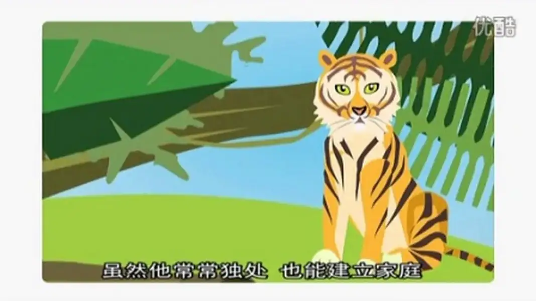 zoo mix