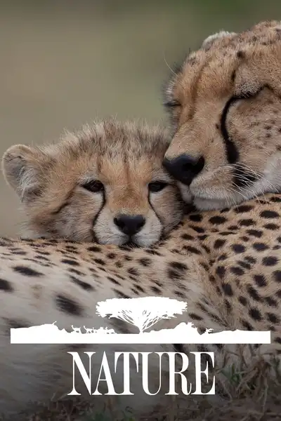 Nature poster