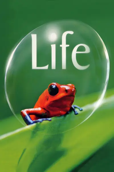 Life poster