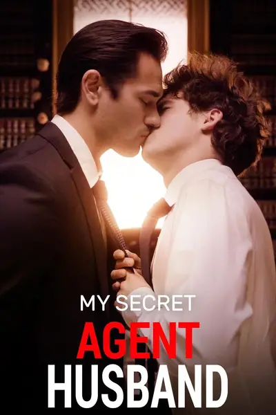 My Secret Agent Husband poster