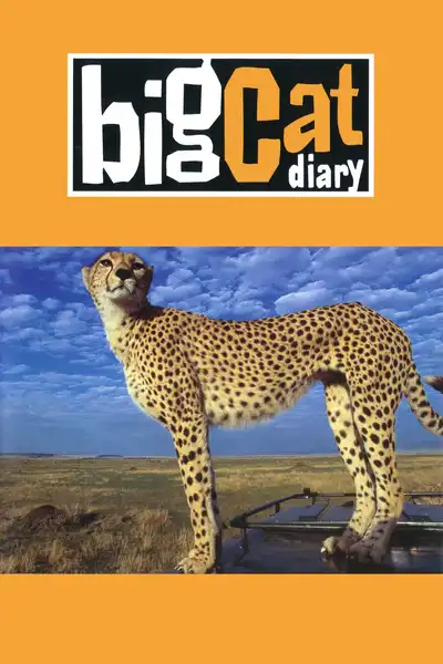 Big Cat Diary poster