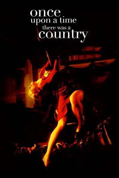 Once Upon a Time There Was a Country poster