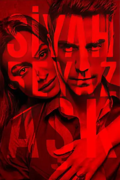 Price Of Passion poster