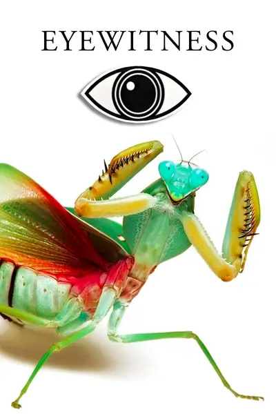 Eyewitness poster