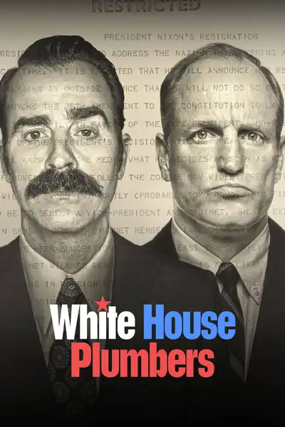 White House Plumbers poster
