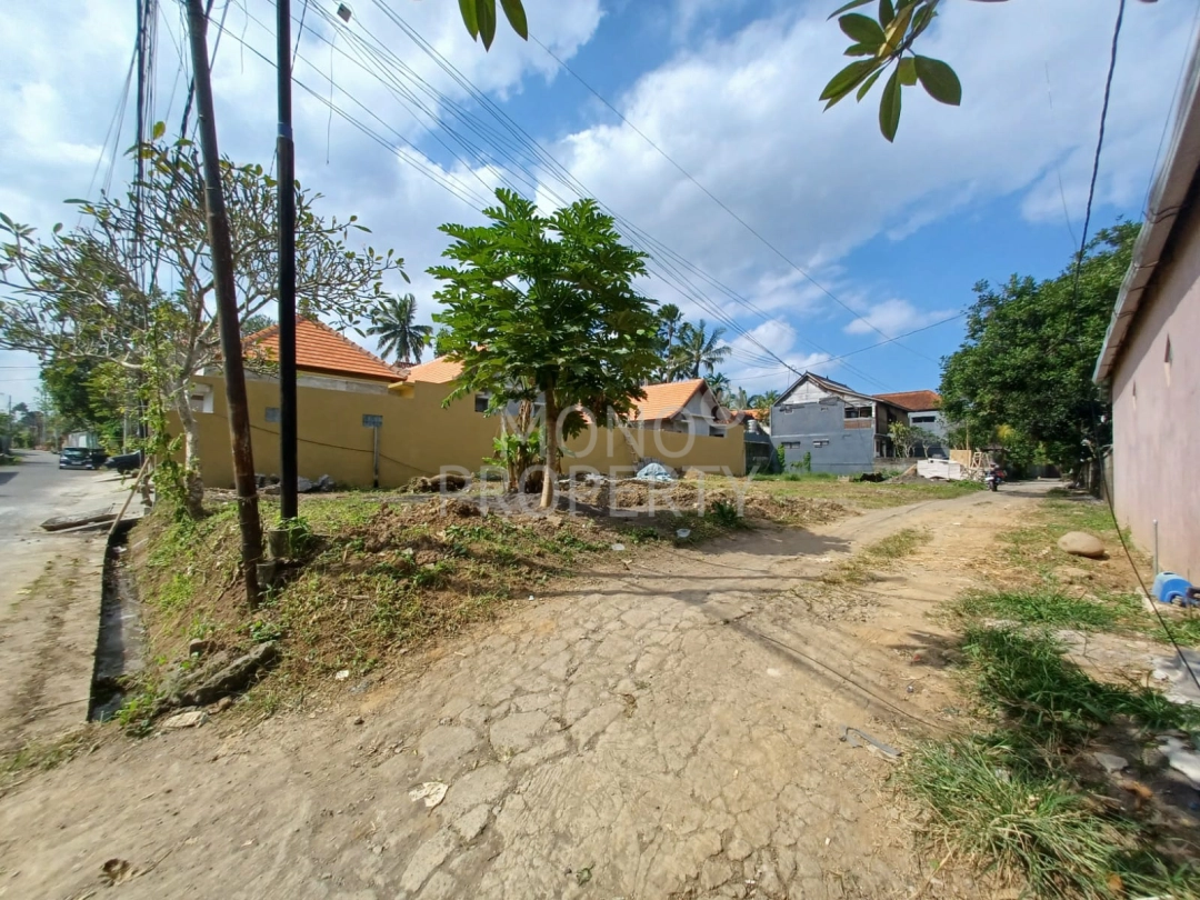 Slide 3