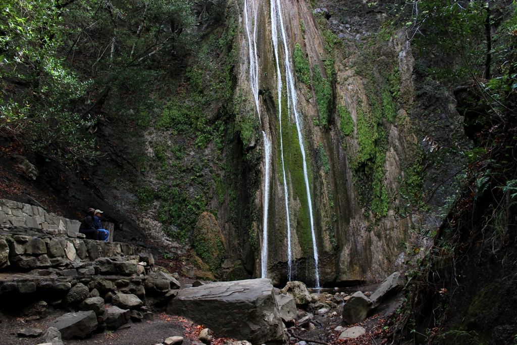 A a tall, gently flowing seasonal waterfall cascading into a small rock-ringed pool against a rock wall green with moss and algae