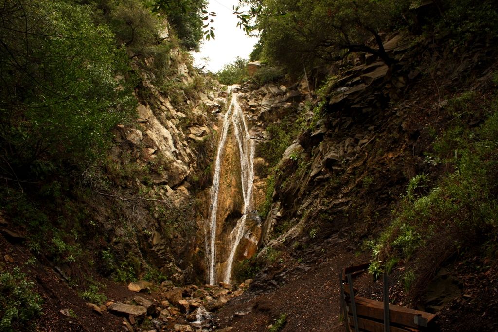 A few thin streams of water flowing over boulders, between green vegetation