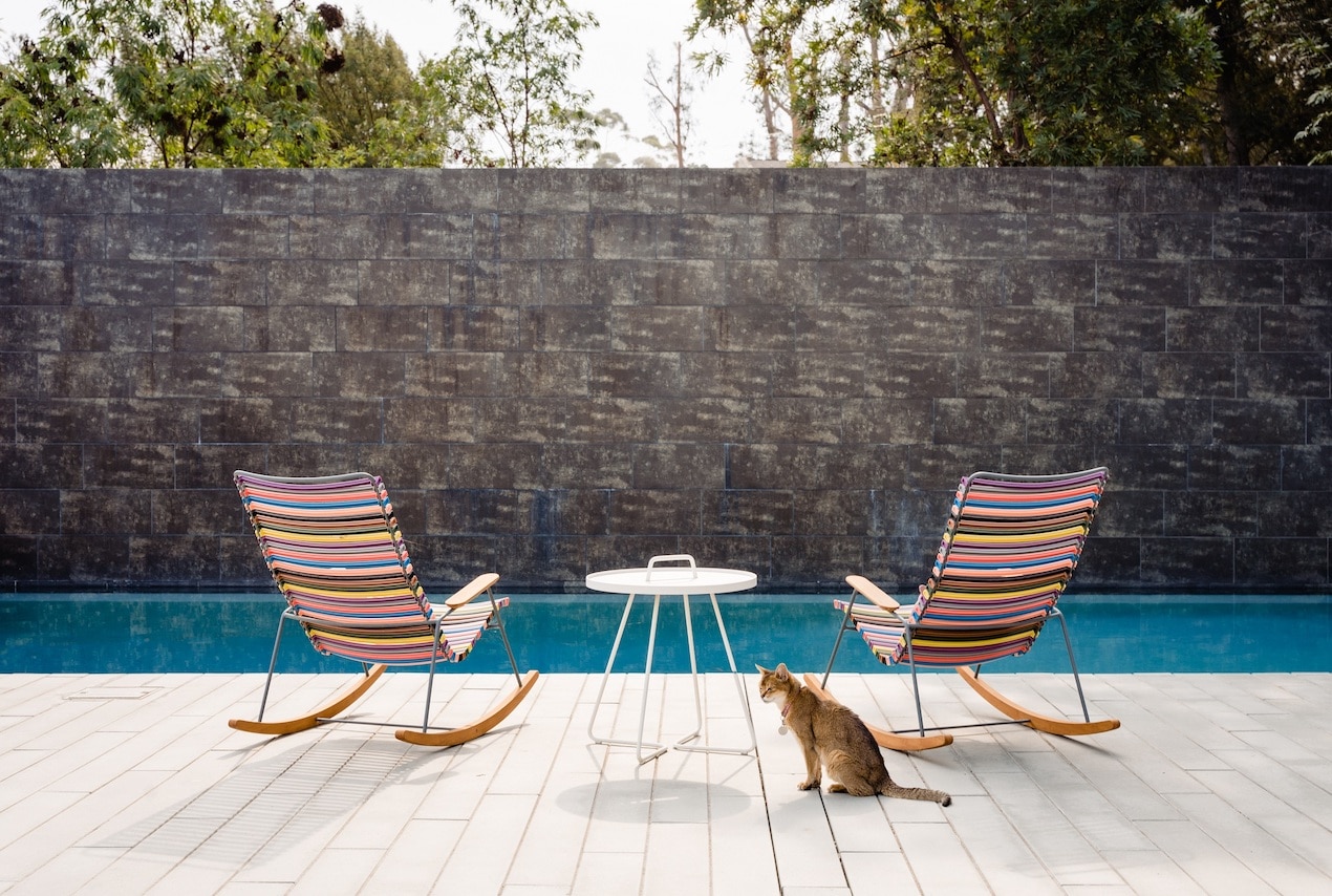 The backyard of a Modern home with two empty chairs facing th epool and the brick wall and a cat in the foreground.