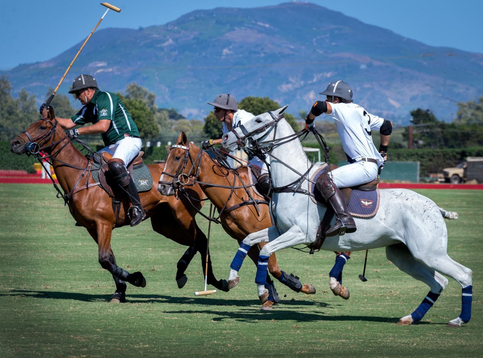 A close up of 3 polo players running on horseback during an exciting polo match.