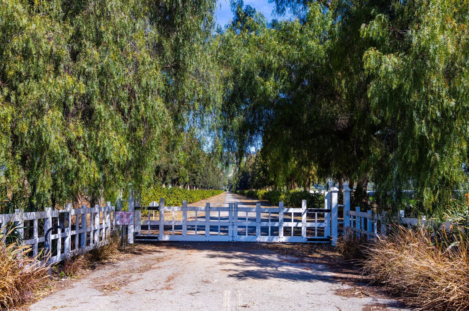 A white picket fence and gate on a dirt road, framed by lush green trees