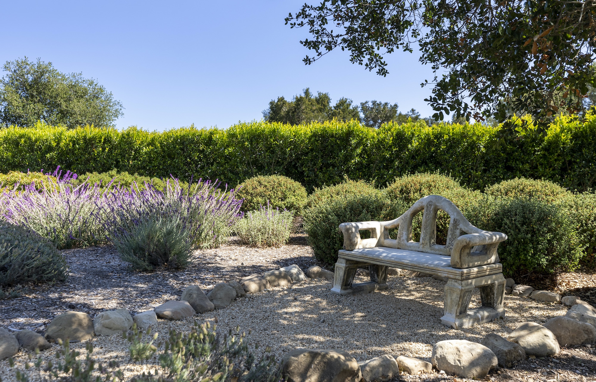 This around the world garden idea of a bench surrounded by lavender is perfect for Santa Barbara homes