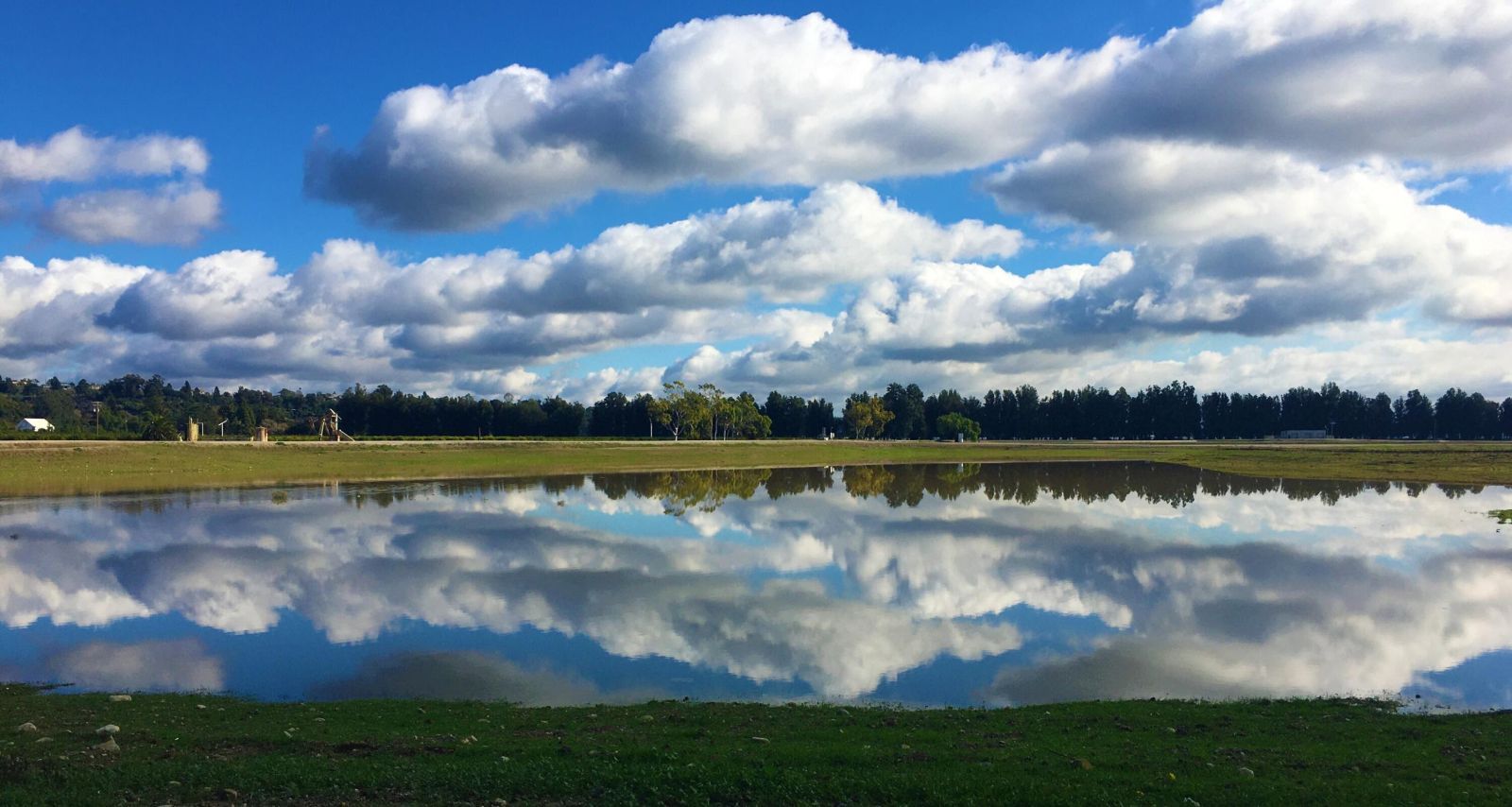 Rancho Santa Clara del Norte, a hidden gem in VenturWhite fluffy clouds in a blue sky reflected in a large pond in the foreground, with a forest of green trees on the horizon.