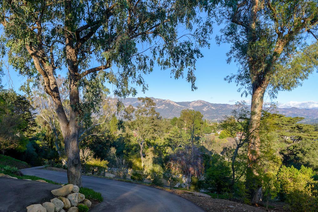 A winding road surrounded by lush vegetation in Hope Ranch
