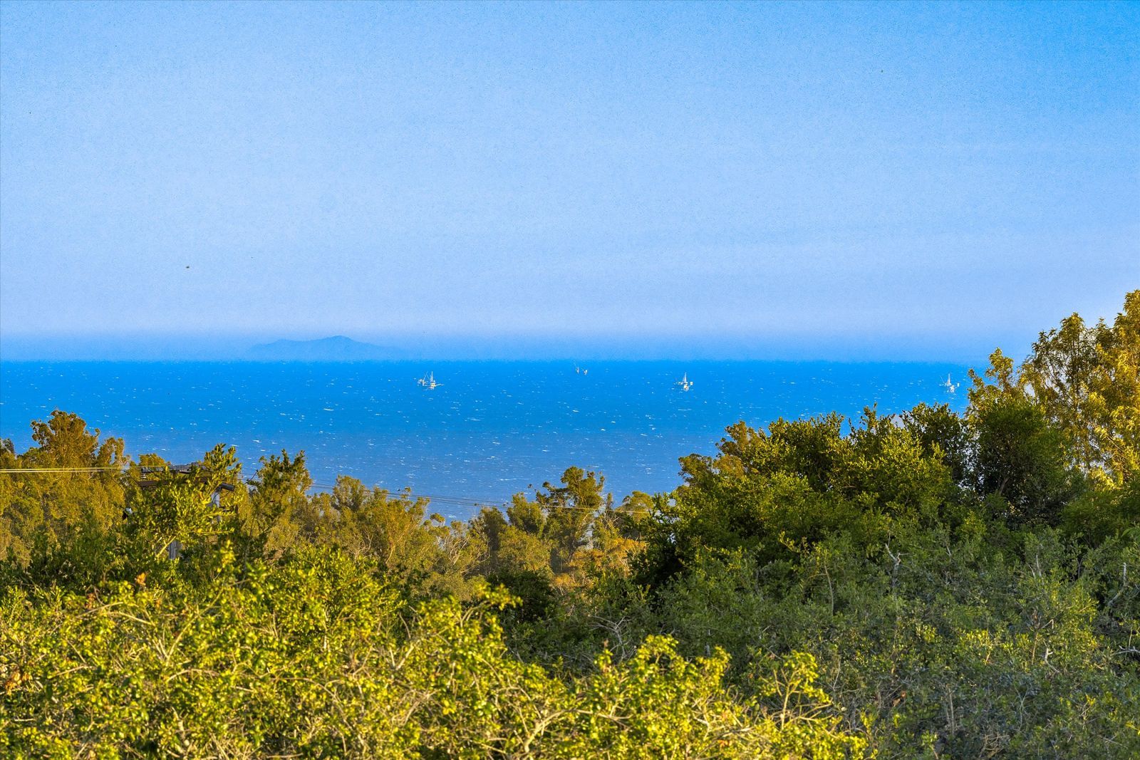 A view of the ocean and blue sky through verdant foliage.