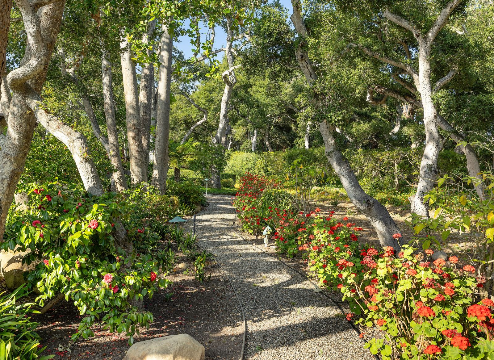 A meandering path with blooming flowers.