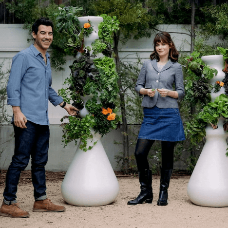 Zooey Deschanel and Jacob Pechenik in their backyard produce garden