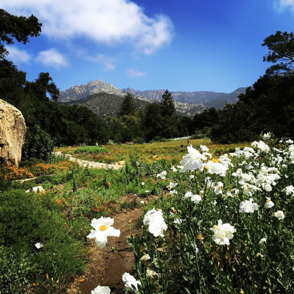 Majestic Santa Ynez Mountains, the perfect destination for a day trip in Santa Barbara