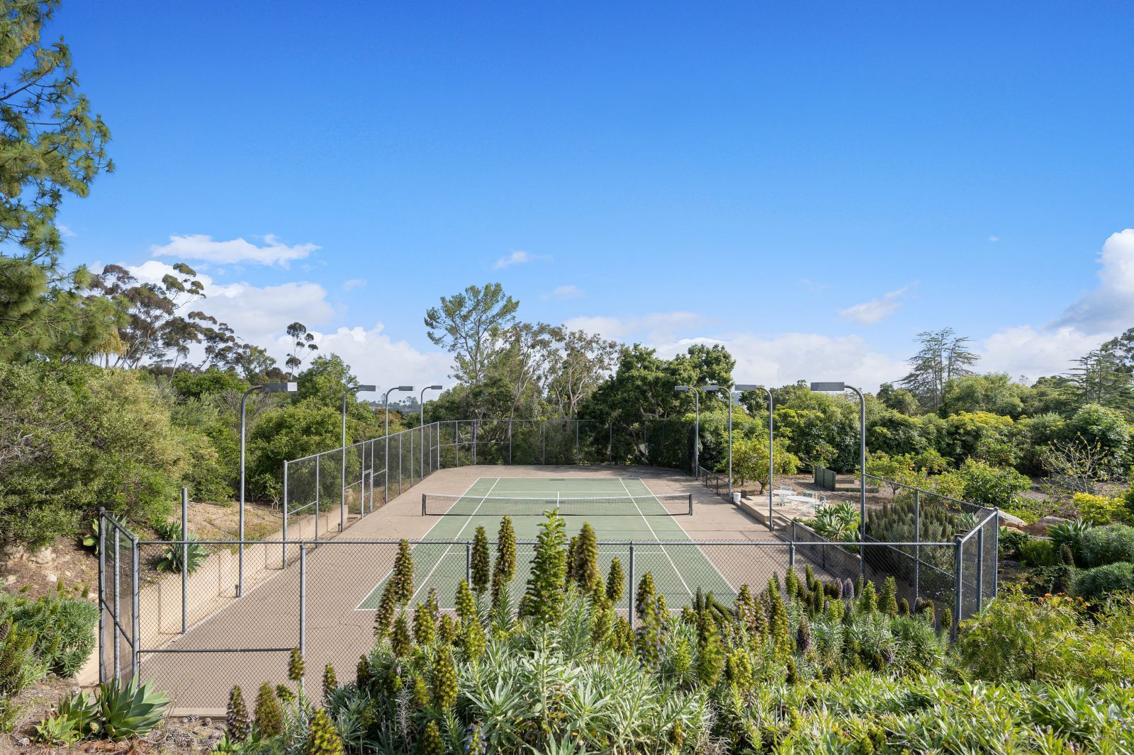 Private tennis court surrounded by lush landscaping