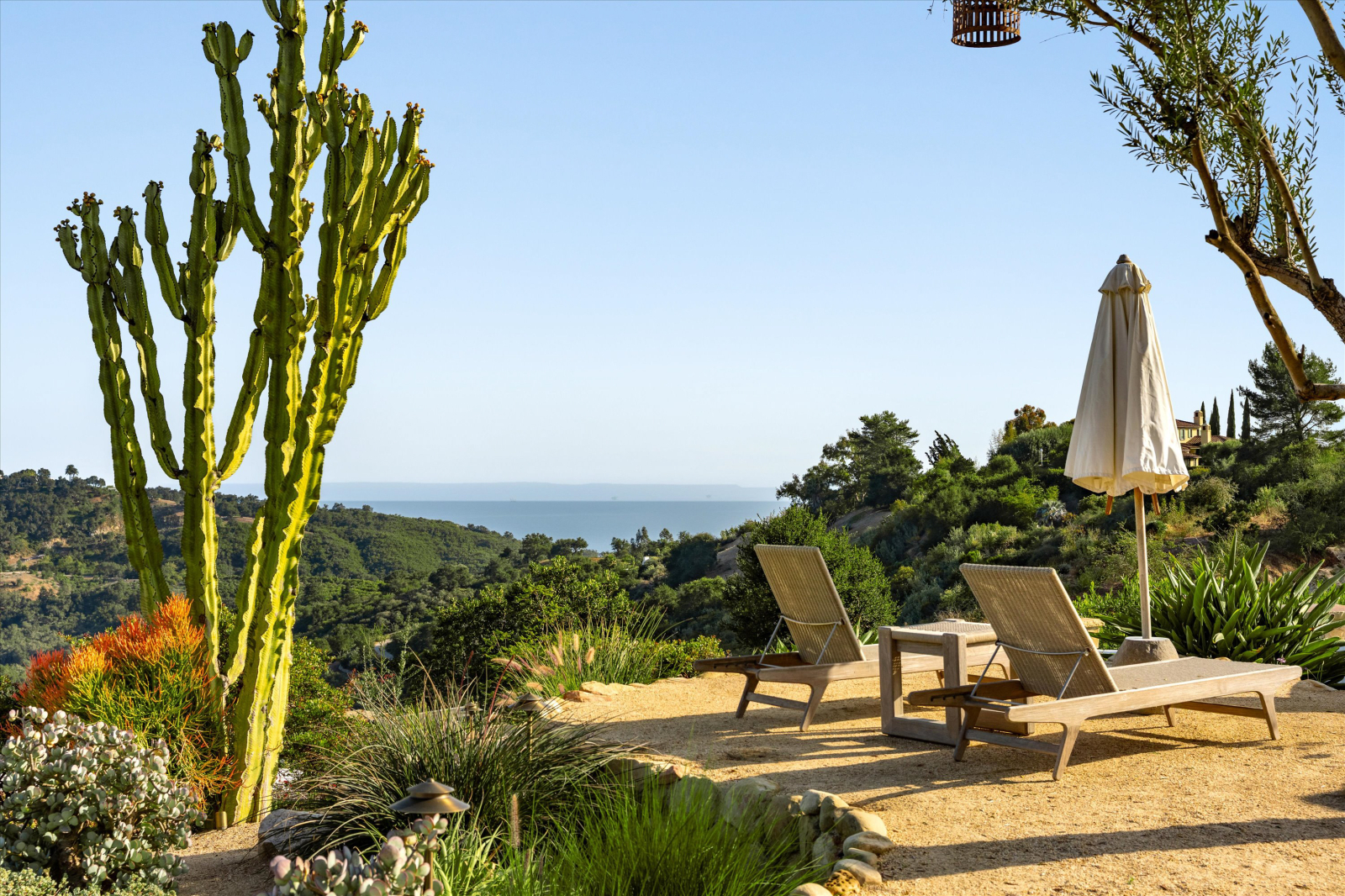 Coastal Santa Barbara outdoor retreat with lounge chairs, drought-tolerant landscaping, mature cactus, and panoramic ocean views, showcasing Southern California indoor-outdoor living.