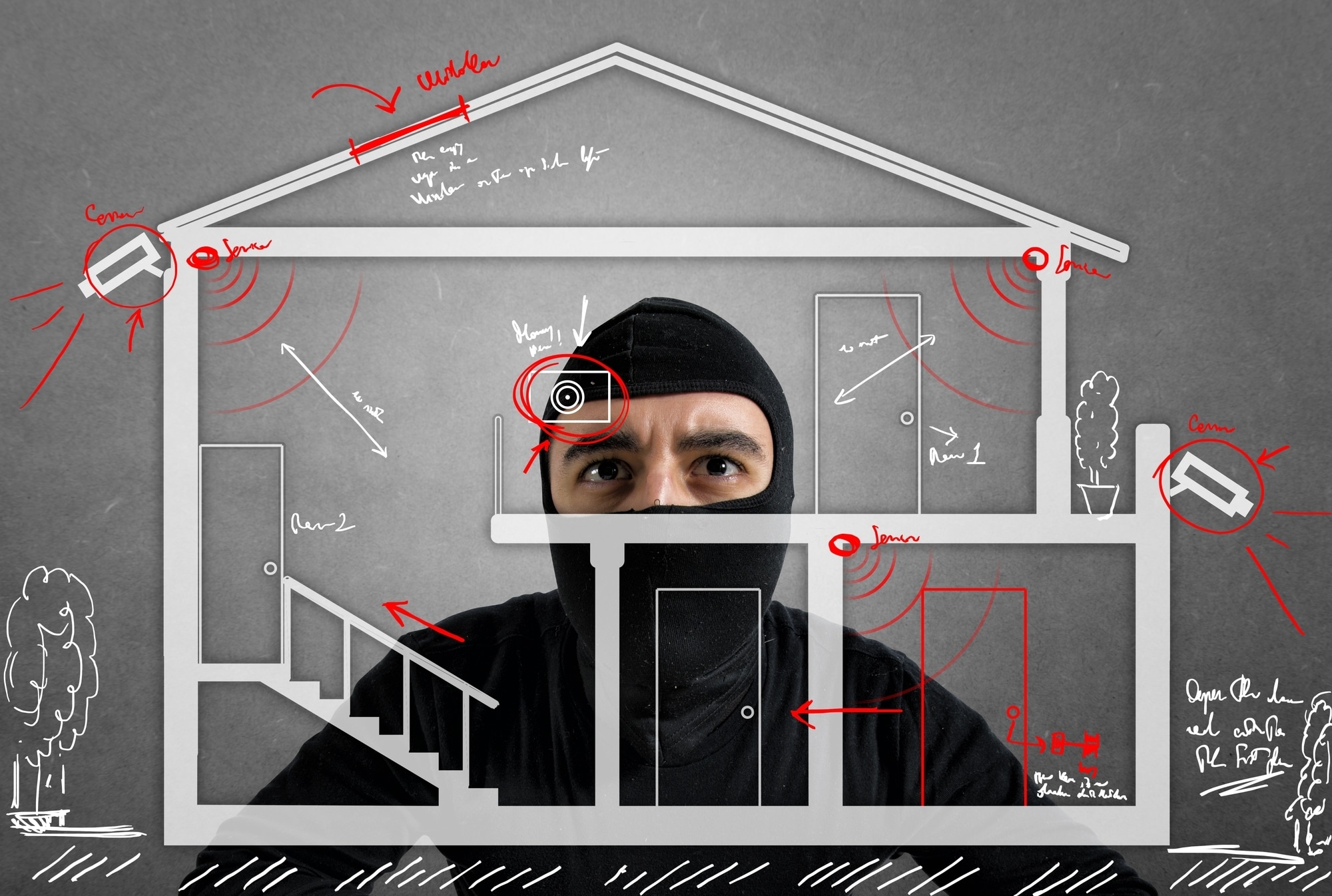 Thief studying luxury security system of a new house