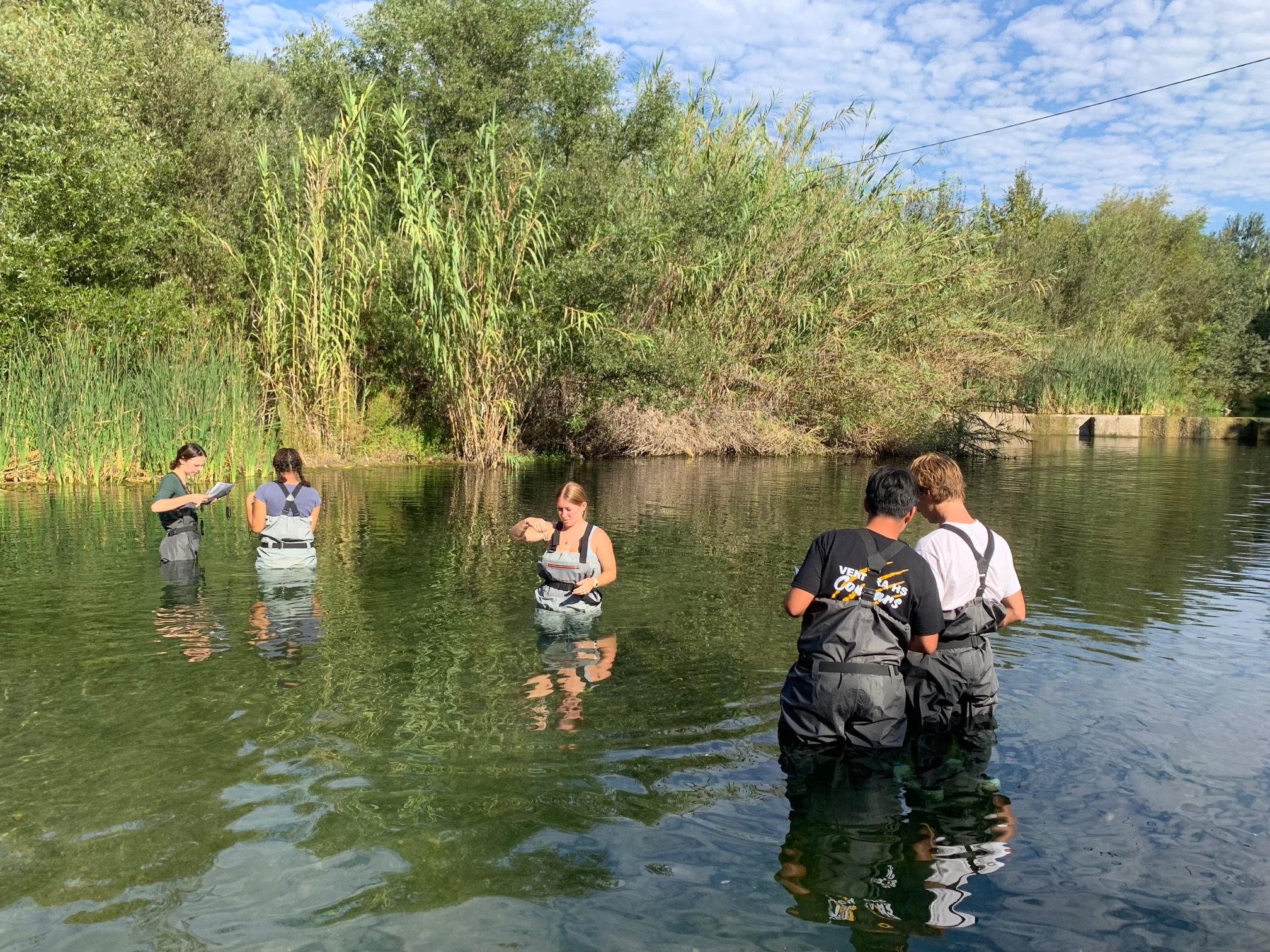 High school volunteers with Santa Barbara Channelkeeper waist-deep  in a lagoon with lush greenery along the bank monitoring the water quality