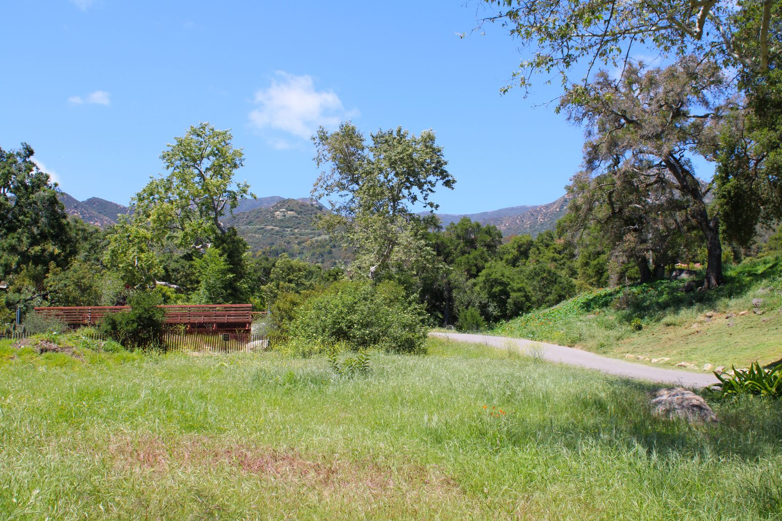 Scenic Montecito landscape with a winding country road, open grassy meadow, mature oak and sycamore trees, and the Santa Ynez Mountains under a bright blue sky.