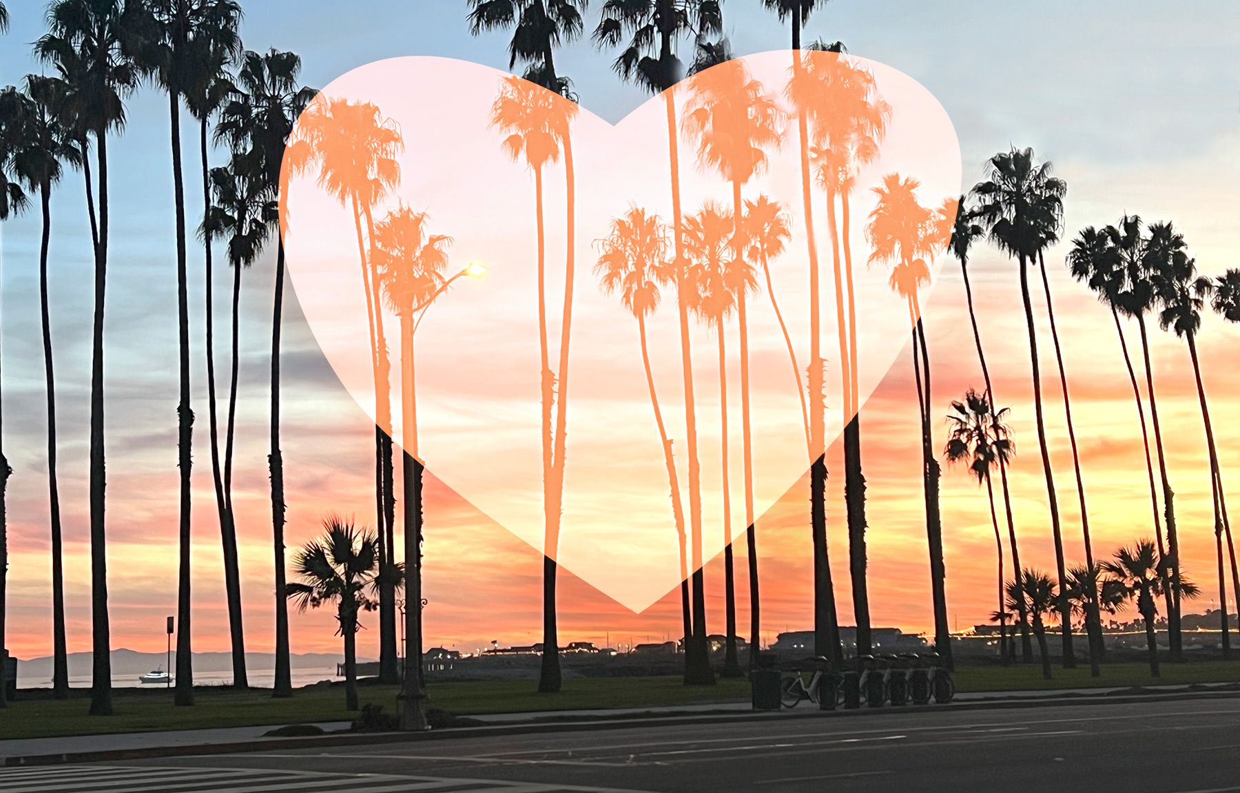Santa Barbara shoreline at sunset, with a row of palm trees, and with a semi-transparent heart superimposed.