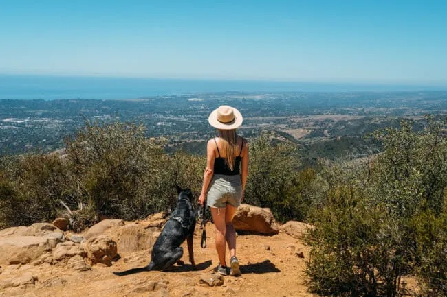 A woman and her dog taking in the ocean view at Santa Barbara's Inspiration Point.