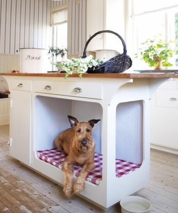 Dog in his kitchen island bed to show a great interior design challenge of making space for your dog in various rooms of your home.