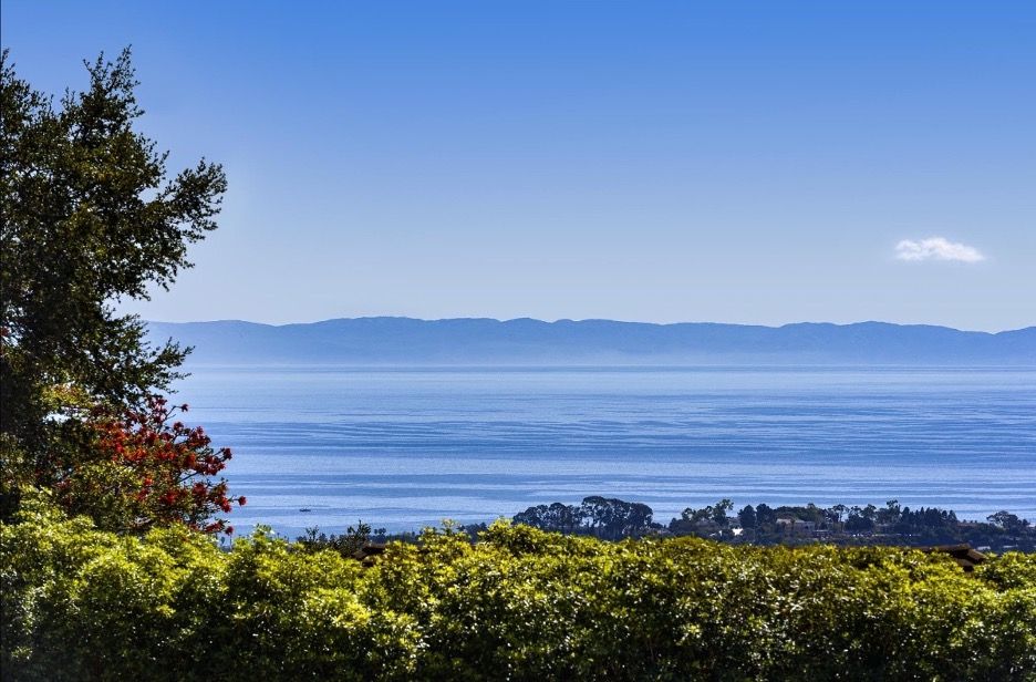 Lush landscape frames a beautiful picture of the Pacific Ocean