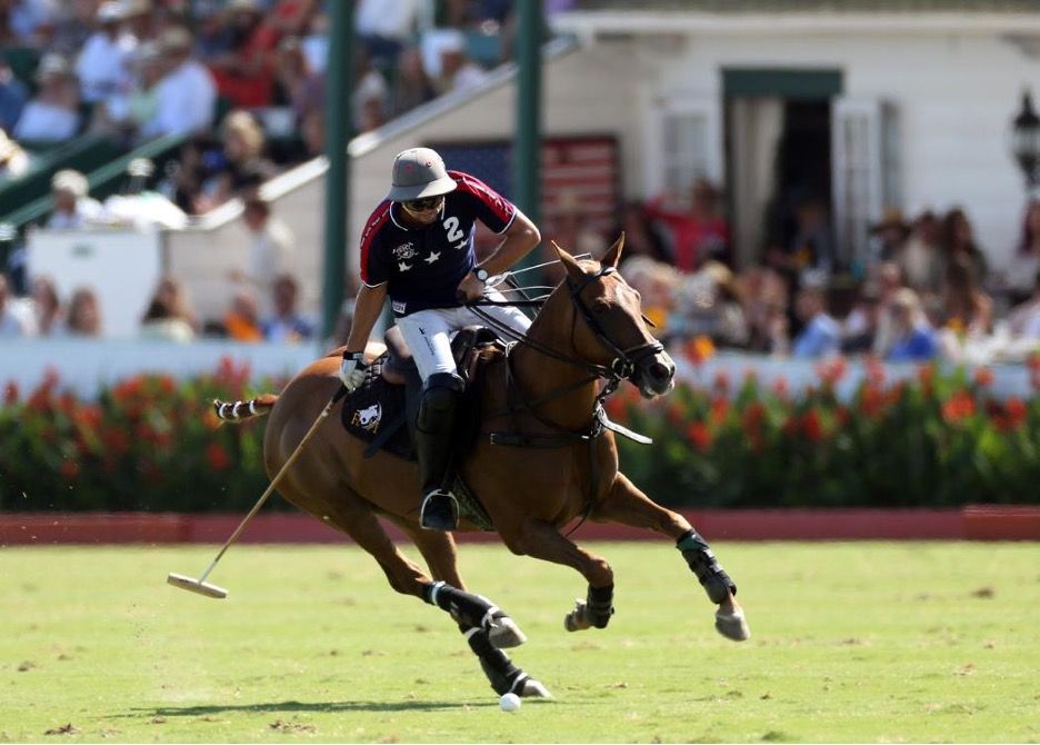 A polo player on a running horse getting ready to take a shot, with fans in the background