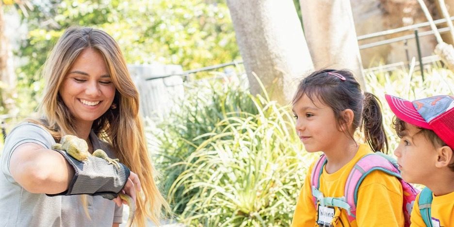 A female zoo employee with a gecko on her arm showing it to two young children during ZooCamp, a summer camp in Santa Barbara.