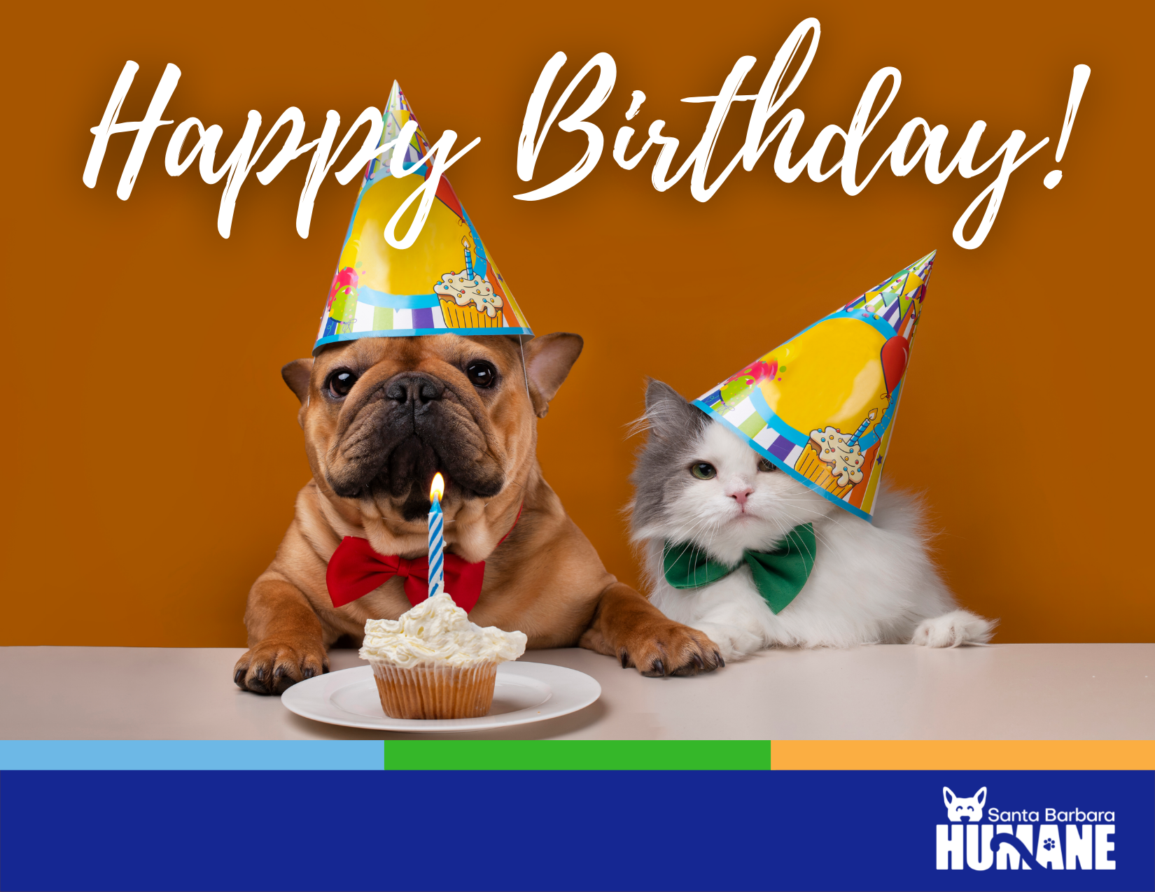 A birthday card from SB Humane, with a dog and cat wearing party hats in front of a cupcake with a single lit candle.