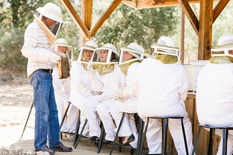 A bee apiarist shares knowledge with people on an experience and honey tasting
