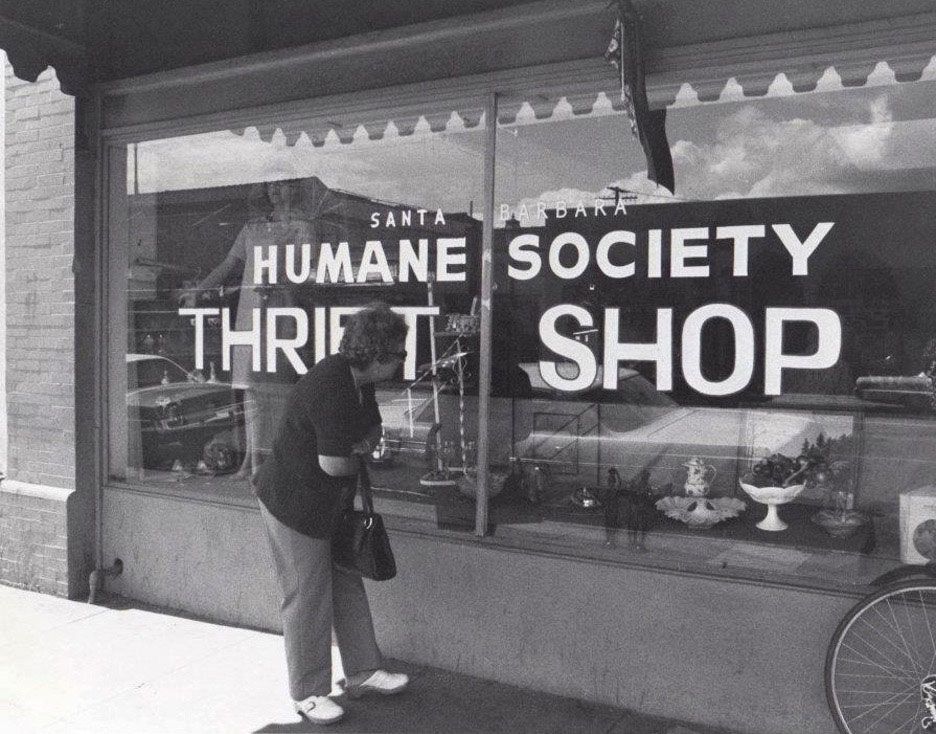 A vintage black and white photo of the Humane Society Thrift Shop with a woman looking in the window.
