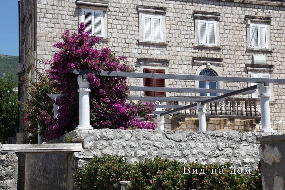 Фотограция номер 2