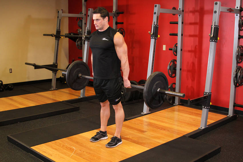 Barbell Hack Squat — end position, working the quads