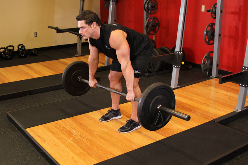 Barbell Rear Delt Row — starting position, working the shoulders