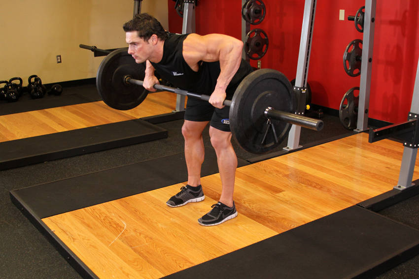 Barbell Rear Delt Row — end position, working the shoulders