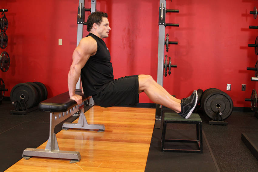 Bench Dips — starting position, working the triceps