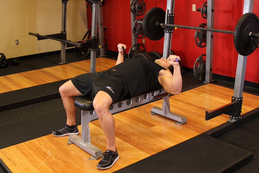 Bench Press - With Bands — starting position, working the chest