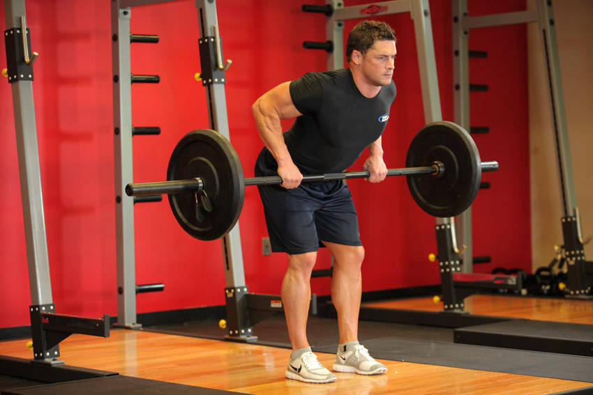 Bent Over Barbell Row — end position, working the middle back
