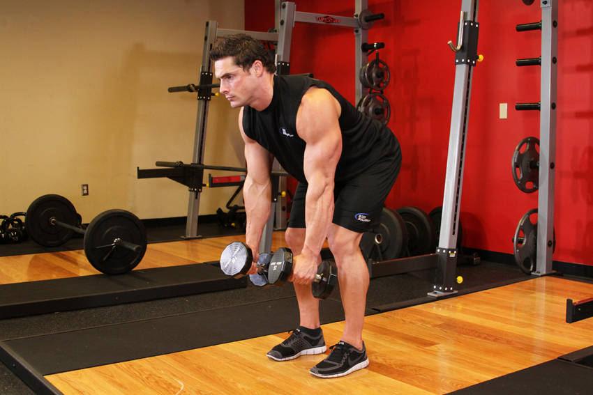 Bent Over Two-Dumbbell Row — starting position, working the middle back